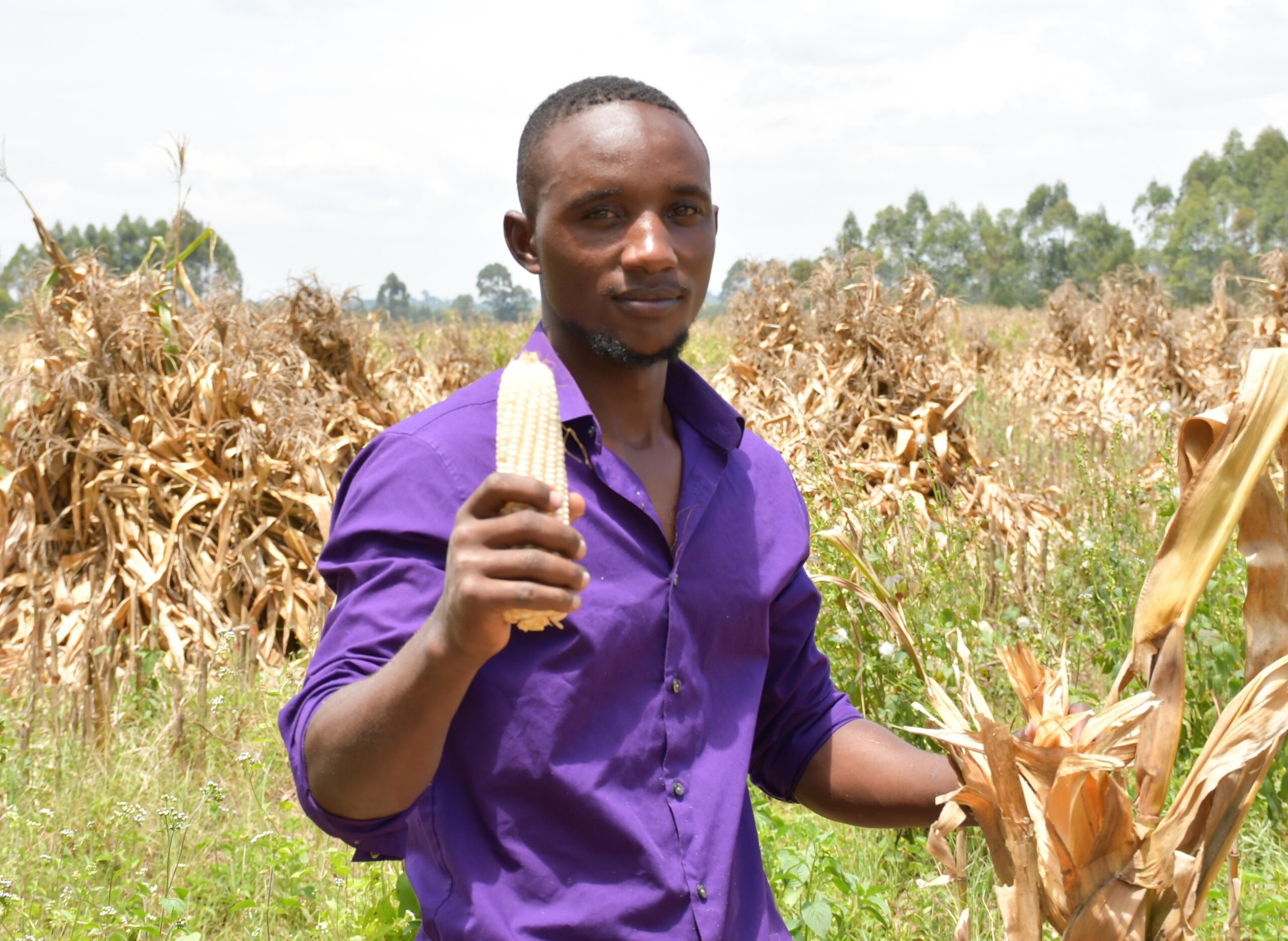 Maize_farmer_2-1