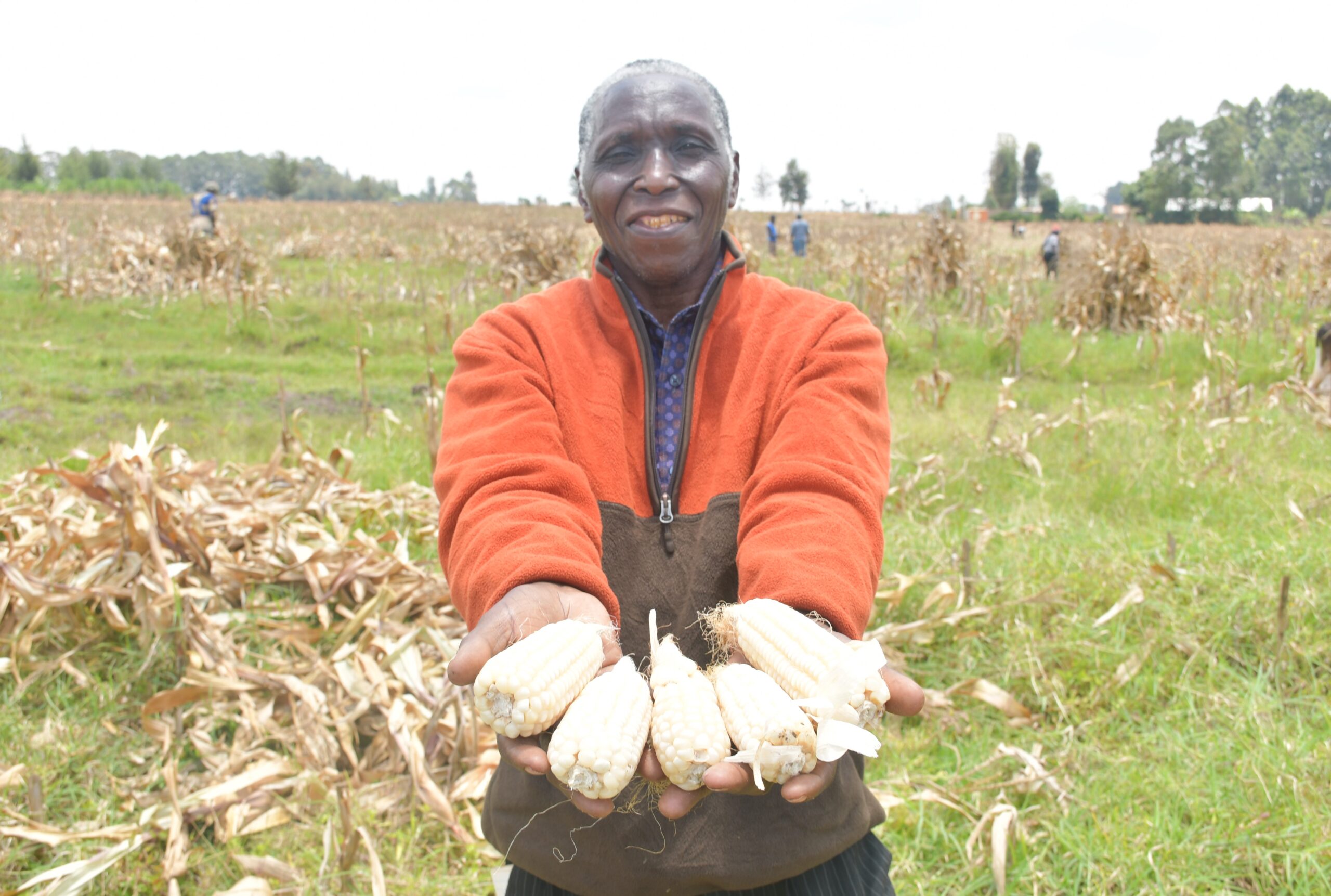 Maize_farmer_3-1