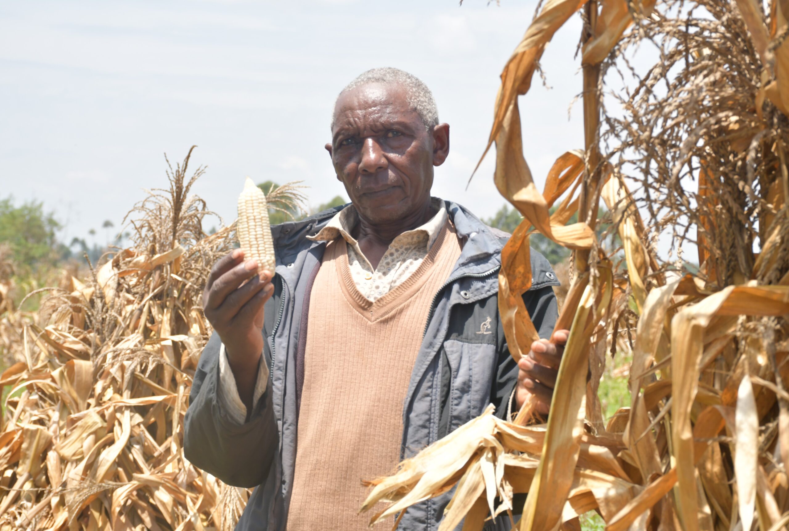Maize_farmer_4-1