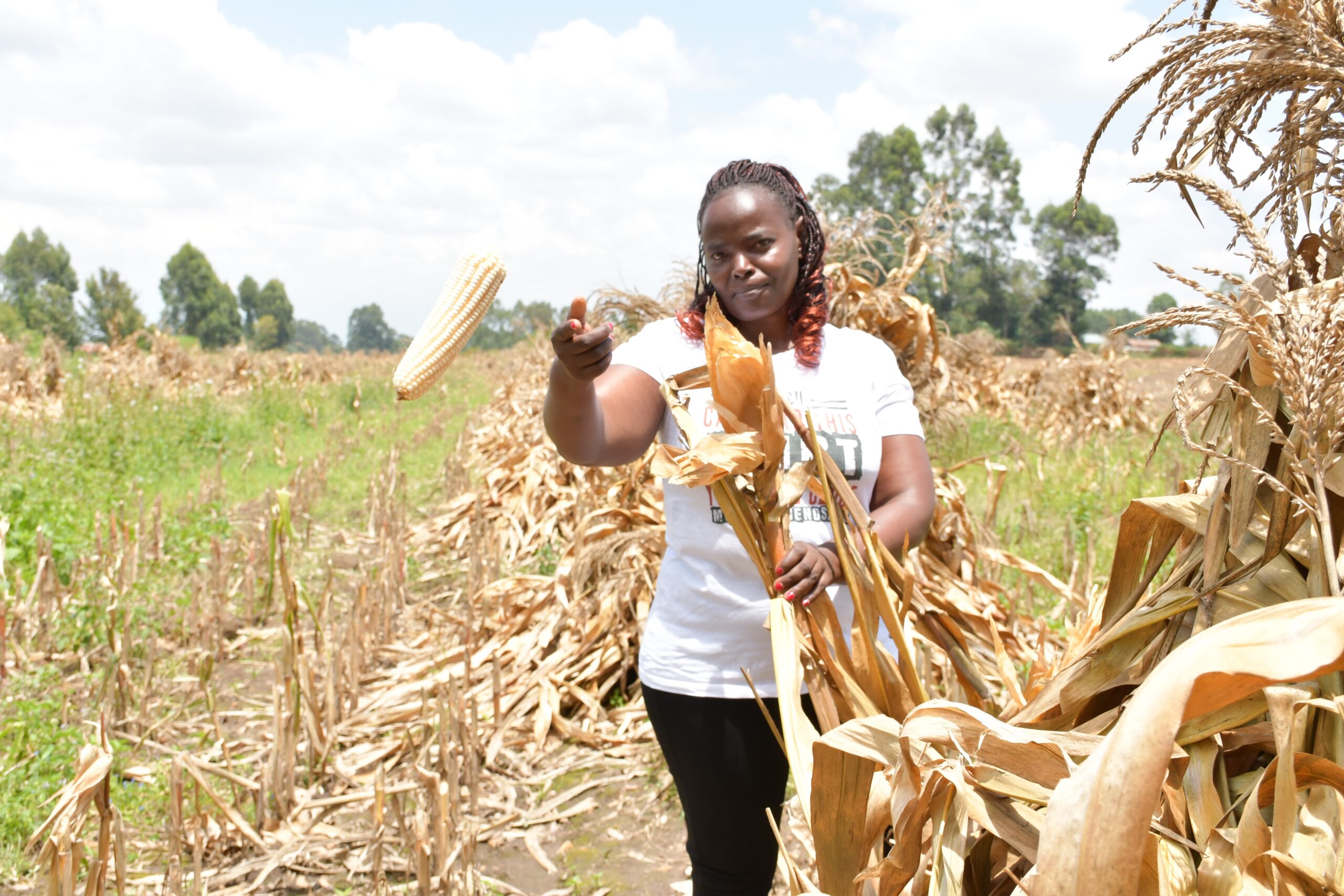 Maize_farmer_5-1